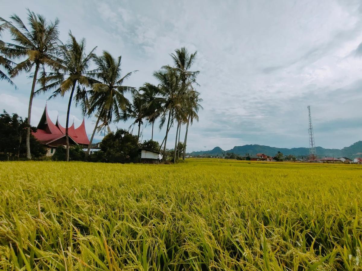 Rumah Gadang Tokama, Simarasok Baso Zewnętrze zdjęcie